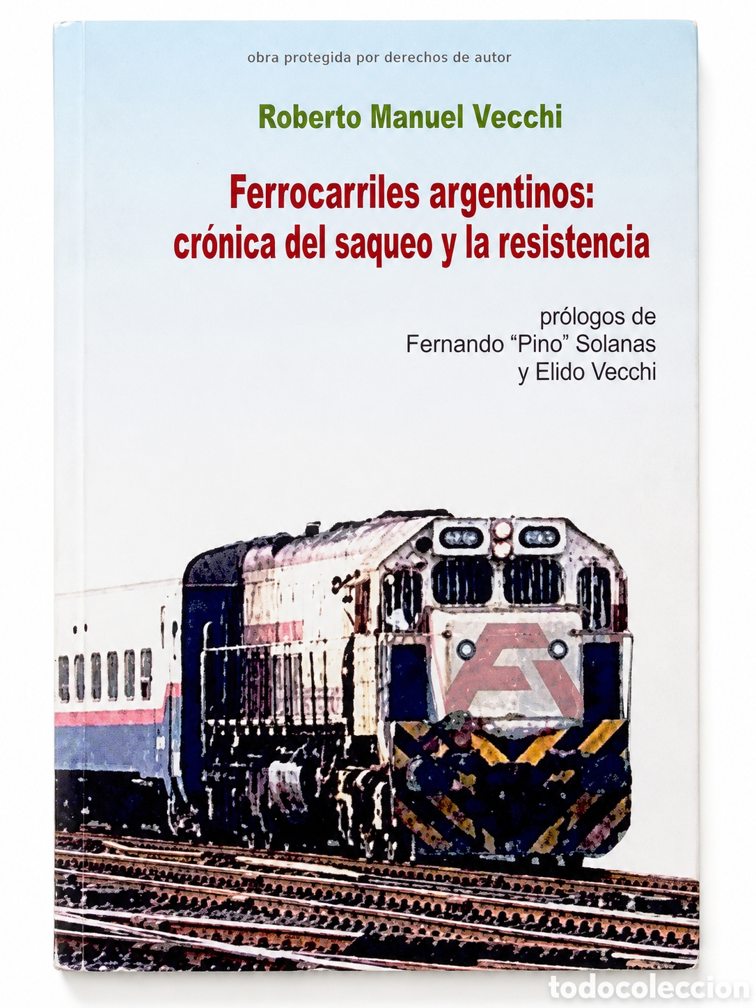 Libros: ROBERTO MANUEL VECCHI &ndash; FERROCARRILES ARGENTINOS: CR&Oacute;NICA DEL SAQUEO Y LA RESISTENCIA &ndash; LMD