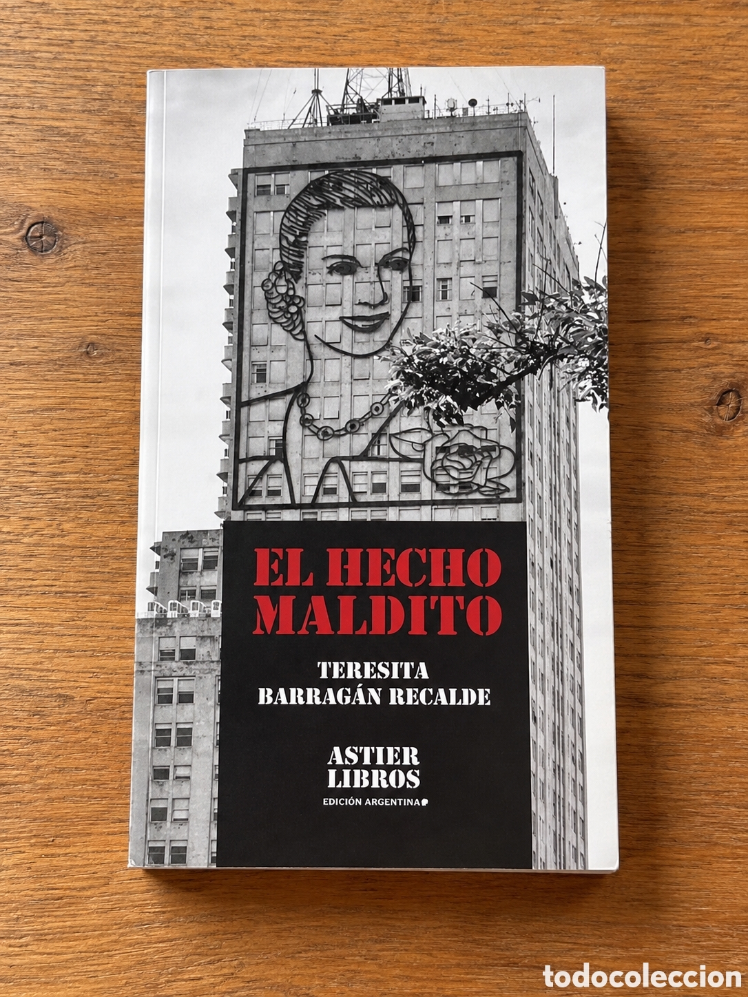 Libros: TERESITA BARRAG&Aacute;N RECALDE &ndash; EL HECHO MALDITO &ndash; ASTIER LIBROS &ndash; 2024 &ndash; LMD