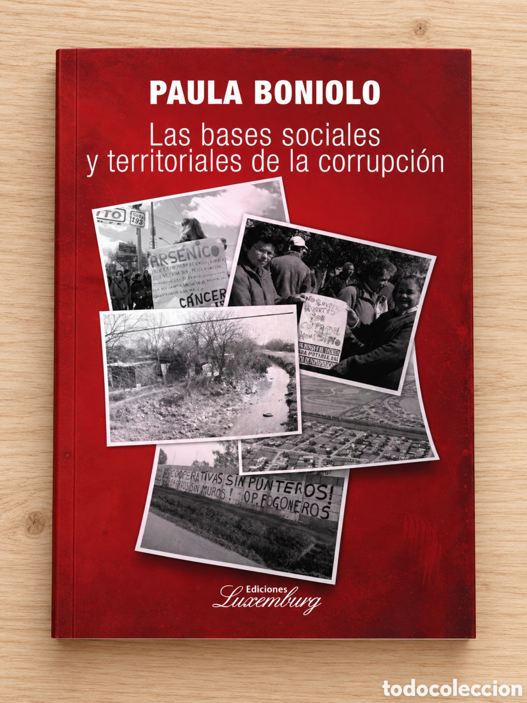 Libros: PAULA BONIOLO &ndash; LAS BASES SOCIALES Y TERRITORIALES DE LA CORRUPCI&Oacute;N &ndash; EDICIONES LUXEMBURG &ndash; LMD