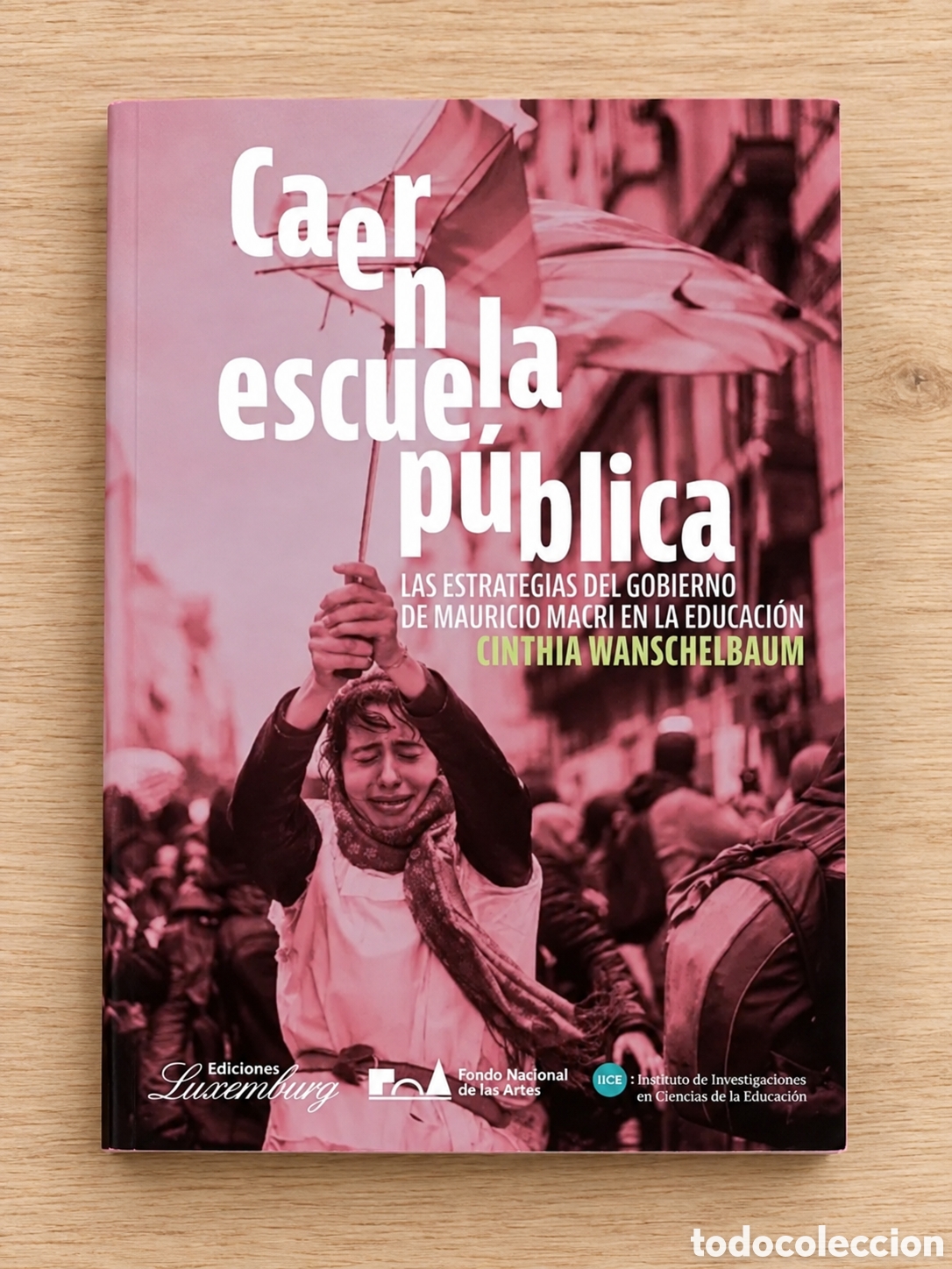 Libros: CINTHIA WANSCHELBAUM &ndash; CAER EN LA ESCUELA P&Uacute;BLICA. LAS ESTRATEGIAS DEL GOBIERNO DE MACRI ... &ndash; LMD