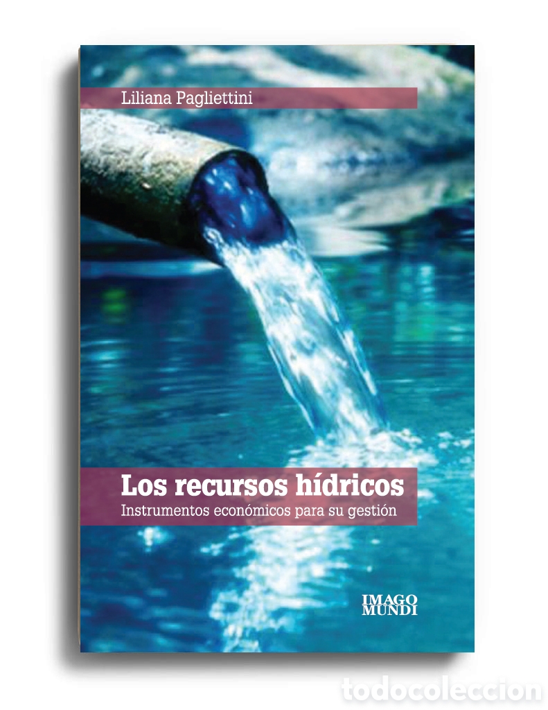 Libros: LILIANA PAGLIETTINI &ndash; LOS RECURSOS H&Iacute;DRICOS. INSTRUMENTOS ECON&Oacute;MICOS PARA SU GESTI&Oacute;N &ndash; LMD