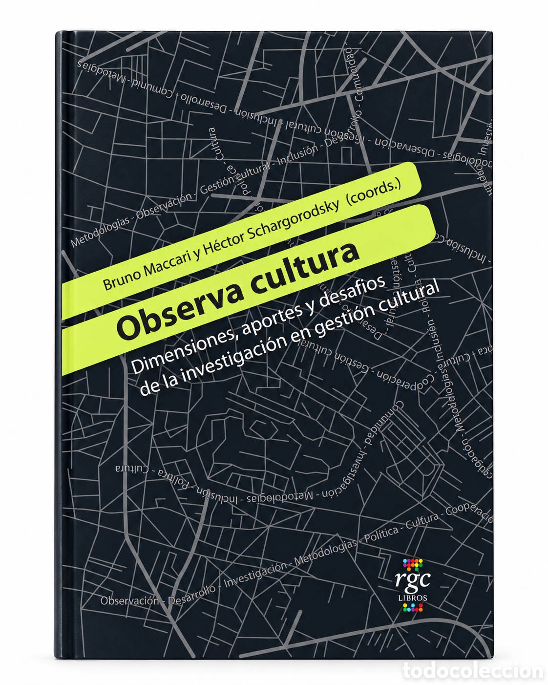 Libros: BRUNO MACCARI / H&Eacute;CTOR SCHARGORODSKY &ndash; OBSERVA CULTURA. DIMENSIONES, APORTES Y DESAF&Iacute;OS DE ... &ndash; LMD