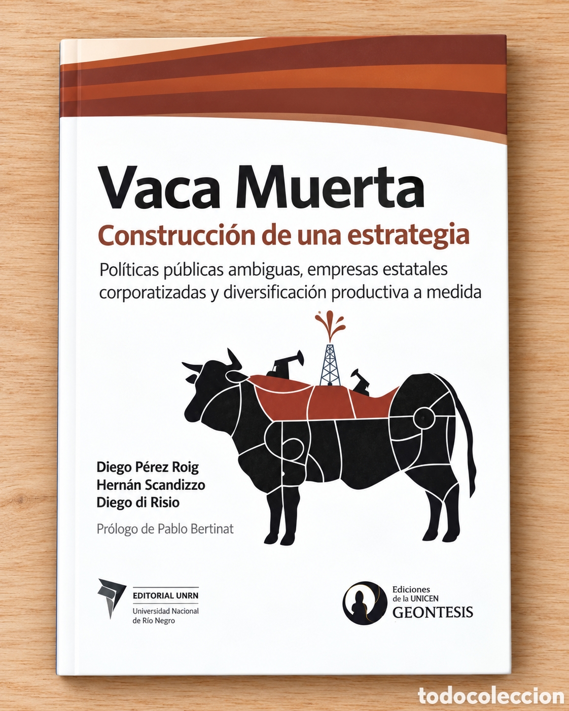 Libros: P&Eacute;REZ ROIG/ SCANDIZZO / RISIO &ndash; VACA MUERTA. CONSTRUCCI&Oacute;N DE UNA ESTRATEGIA &ndash; LMD