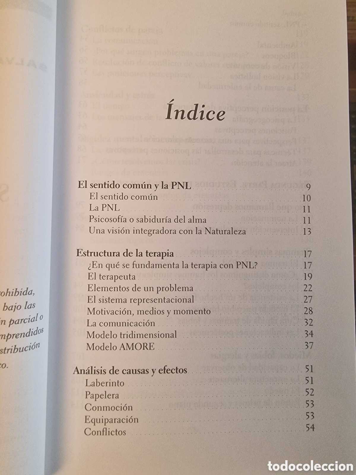Libros: PNL y sentido com&uacute;n. Rafael L&oacute;pez Carrion. - Foto 3