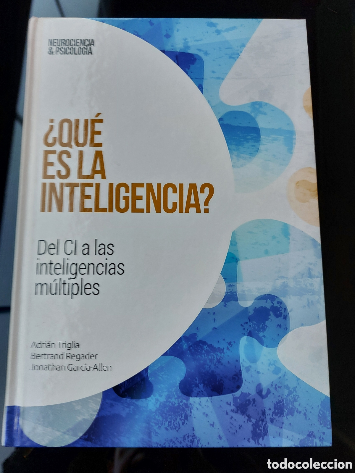 Libros: &iquest;Qu&eacute; es la inteligencia? Del CI a las inteligencias m&uacute;ltiples - Foto 1
