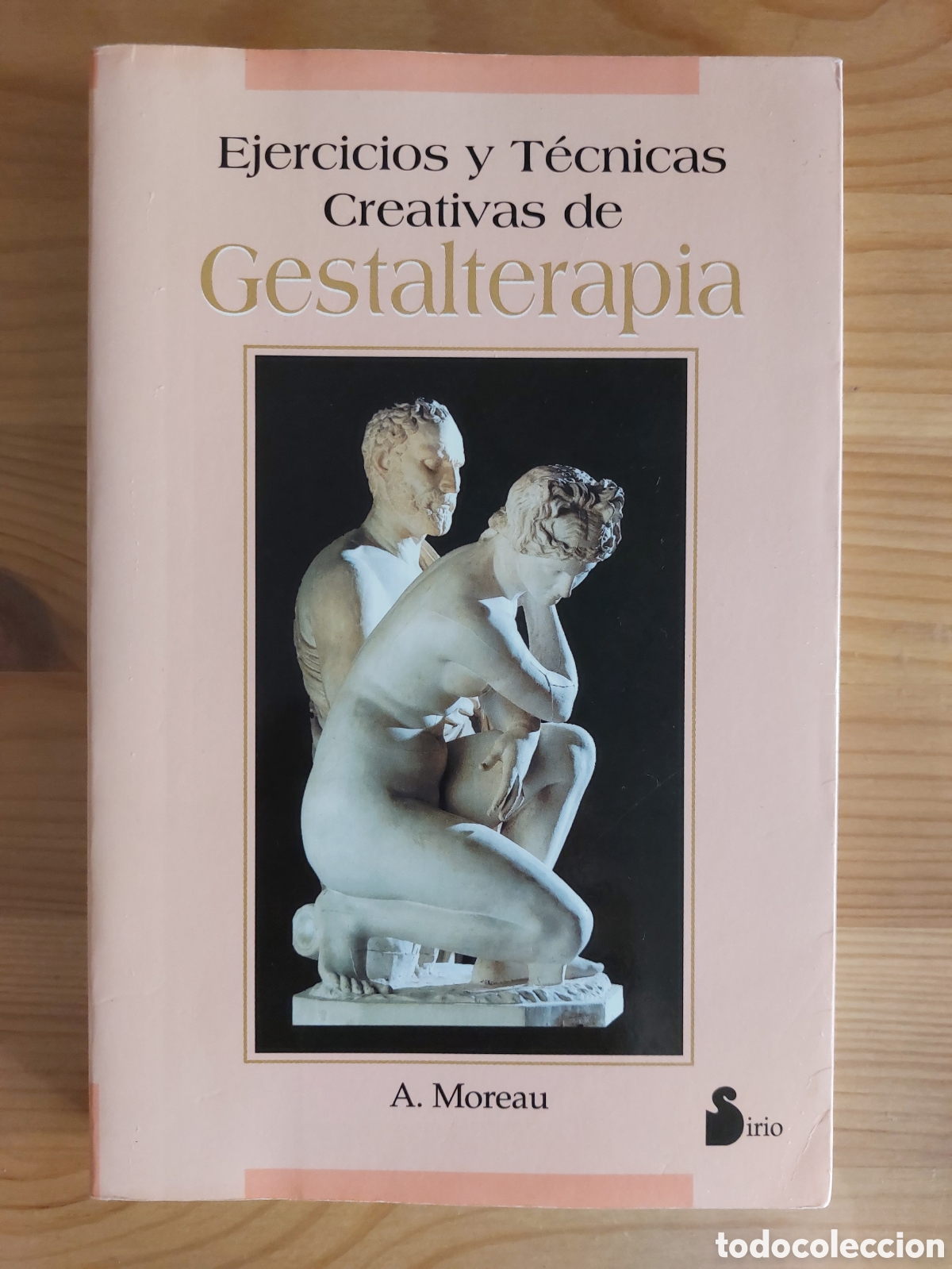 Libros: Ejercicios y t&eacute;cnicas creativas de gestalterapia