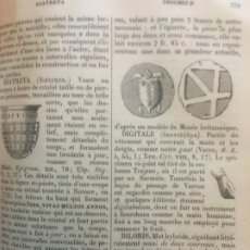 Libros: AÑO 1883 ANTIGÜEDADES ROMANAS Y GRIEGAS CON MAS DE 2000 GRABADOS FERMIN DIDOT ANTHONY RICH