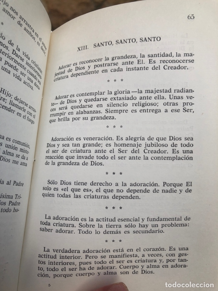 Libros: Vosotros sois mis amigos. - Foto 2