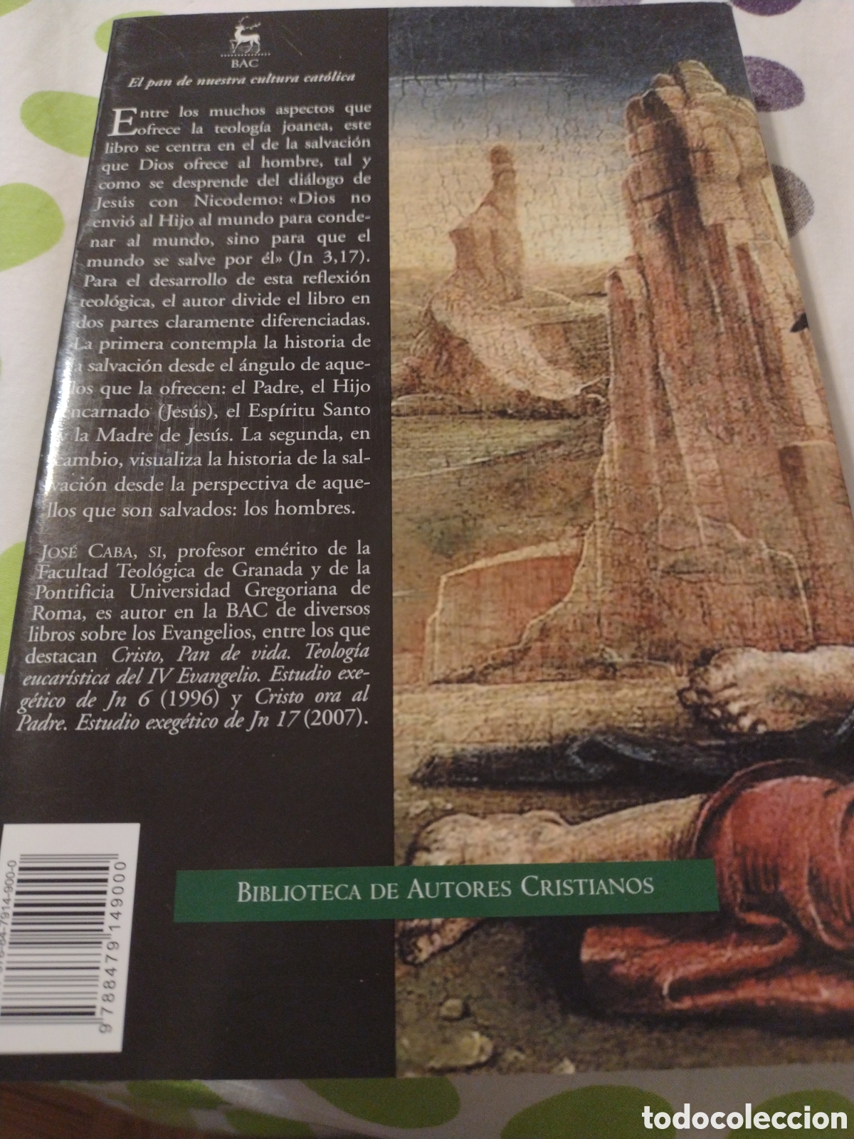 Libros: Caba, Jos&eacute;: Teolog&iacute;a joanea. - Foto 2