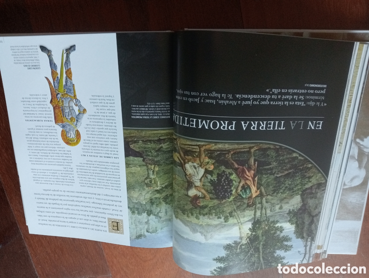 Libros: Historia Ilustrada de la Biblia - Foto 3