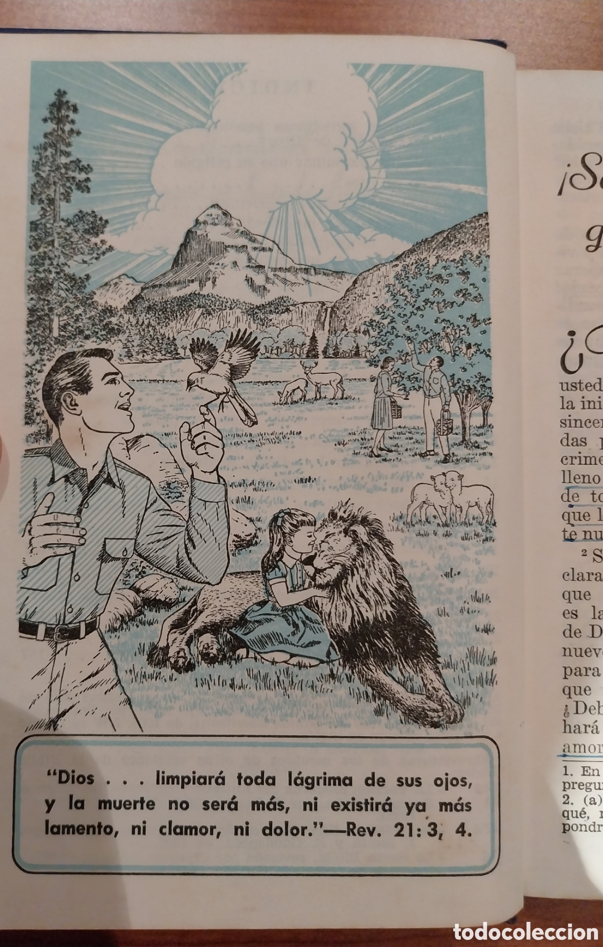 Libros: 1968-Libro religioso &rdquo;La Verdad que lleva a Vida Eterna&rdquo; - Foto 6