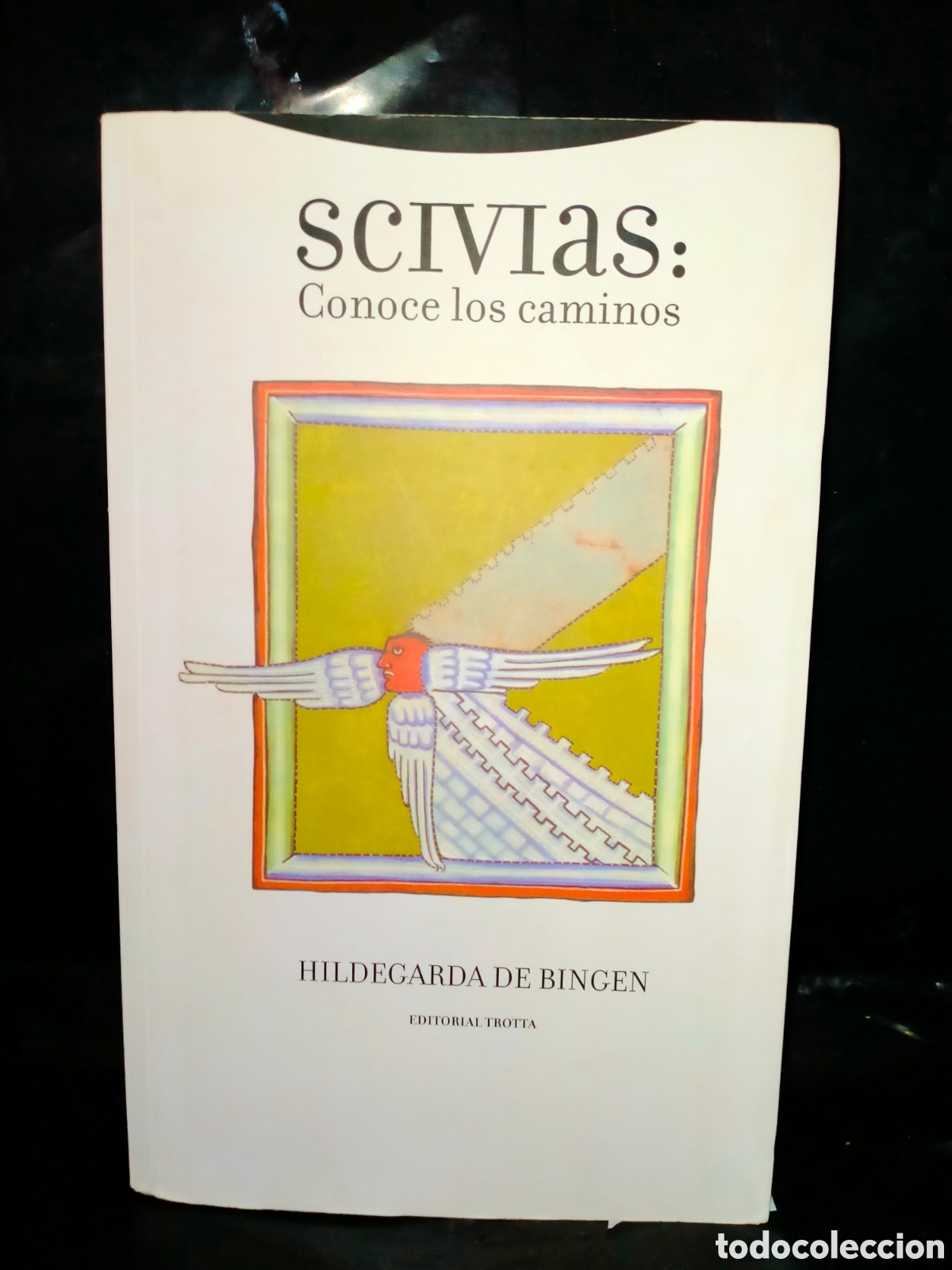 Libros: HILDEGARDA DE BINGEN. SCIVIAS(CONOCE LOS CAMINOS) .TROTTA