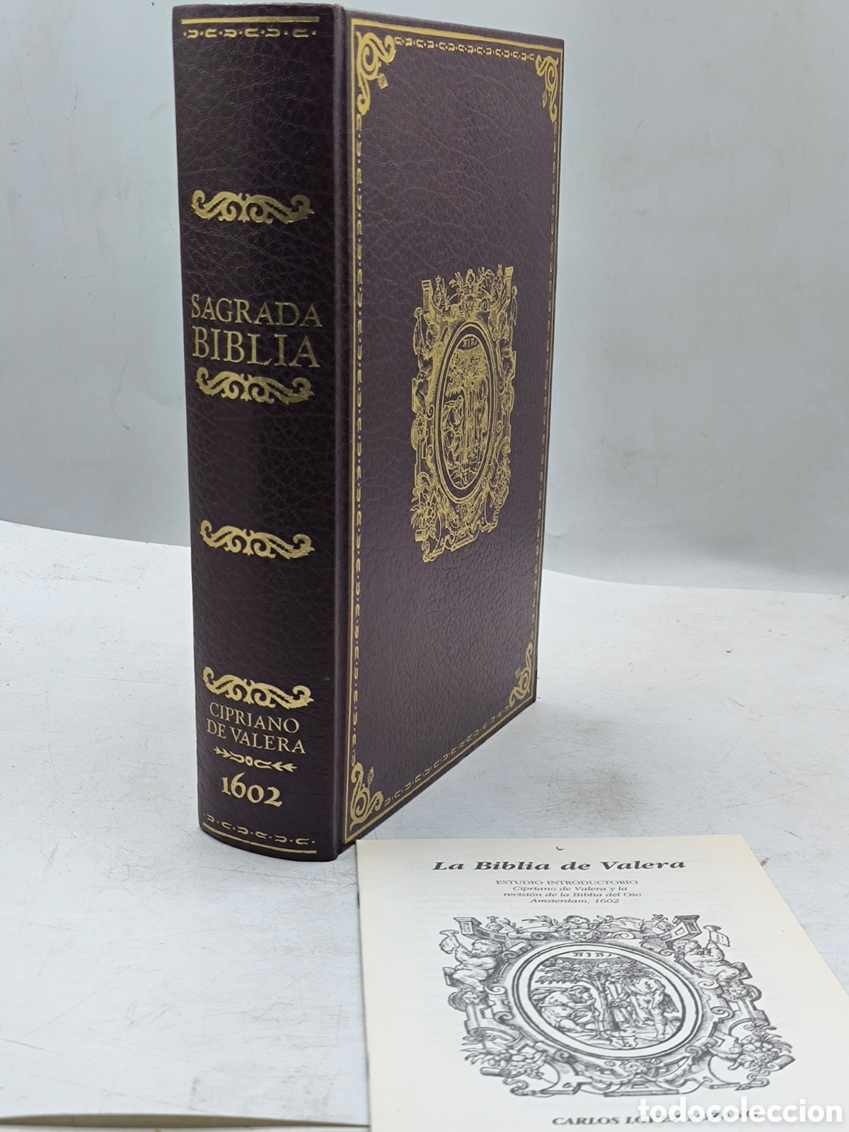 Libros: Sagrada Biblia Cipriano de Valera. Nueva
