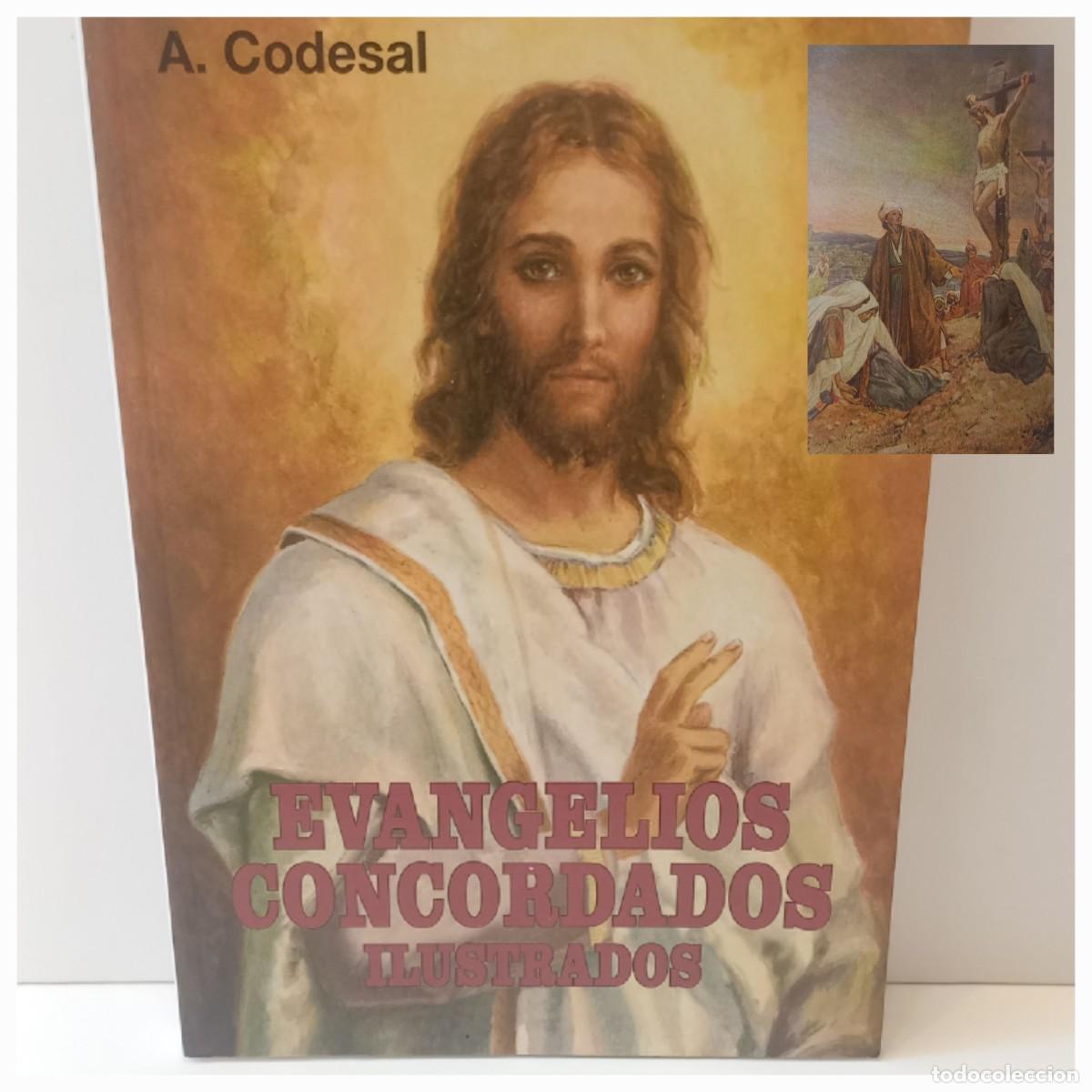 Livros: ESTUPENDO LIBRO LOS EVANGELIOS CON SUS CORRESPONDIENTES DIBUJOS