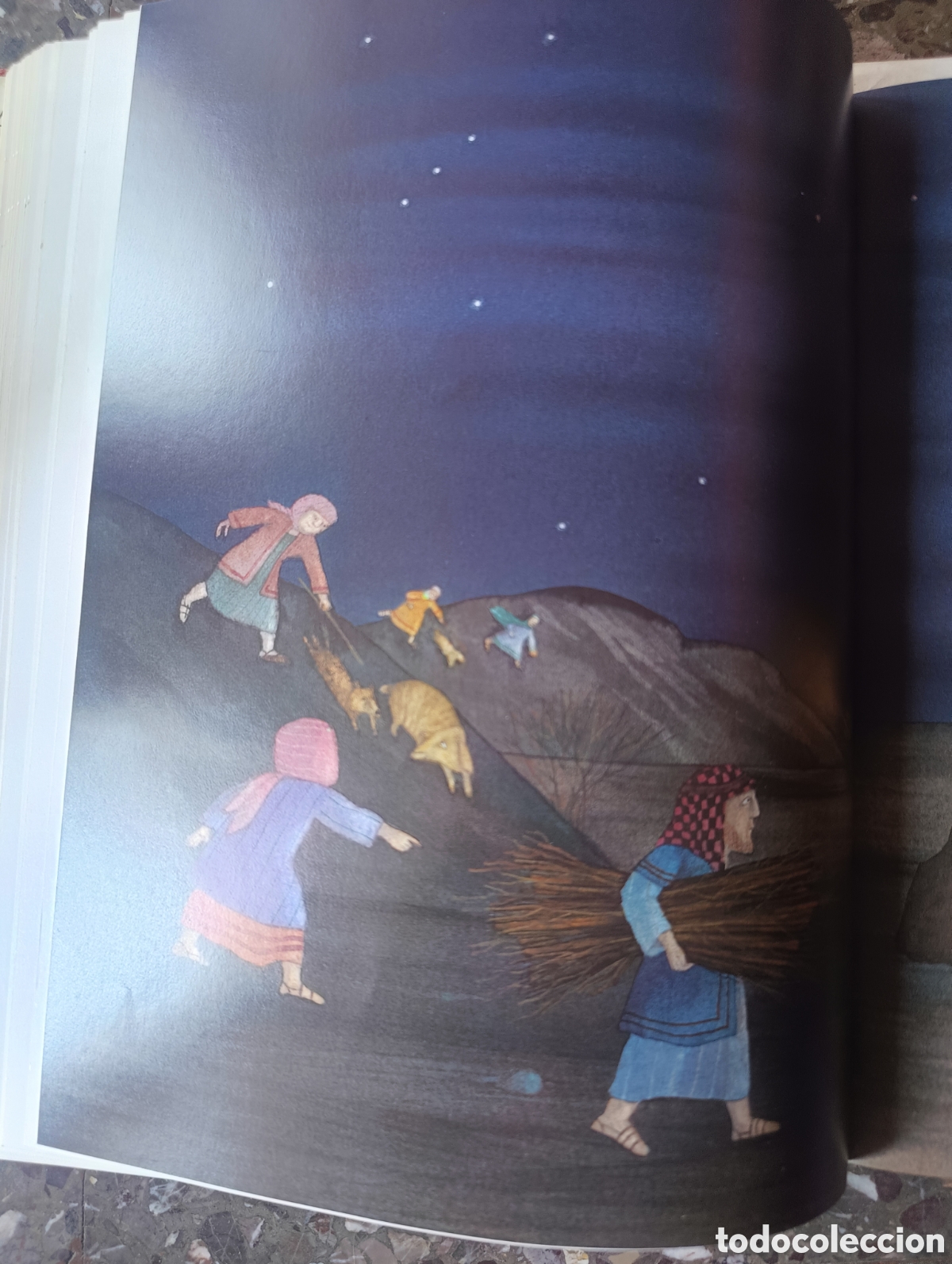 Libros: La Biblia Juvenil Infantil - Foto 15