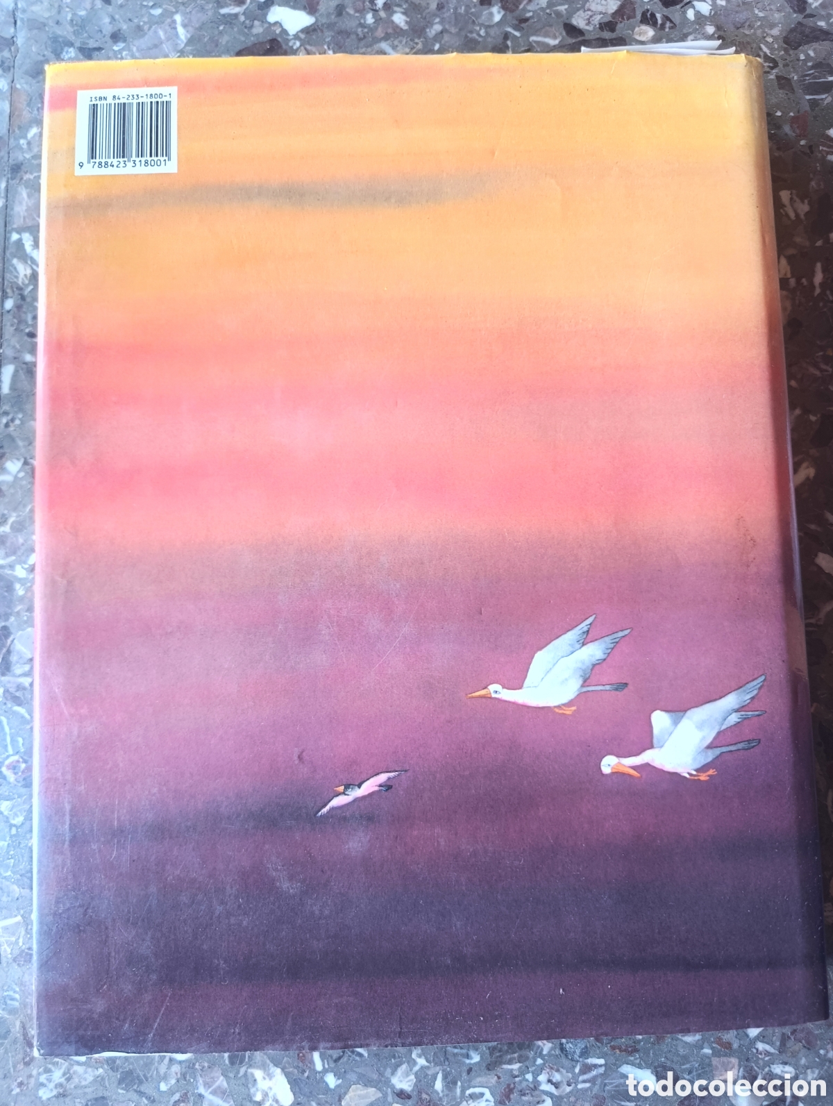 Libros: La Biblia Juvenil Infantil - Foto 18