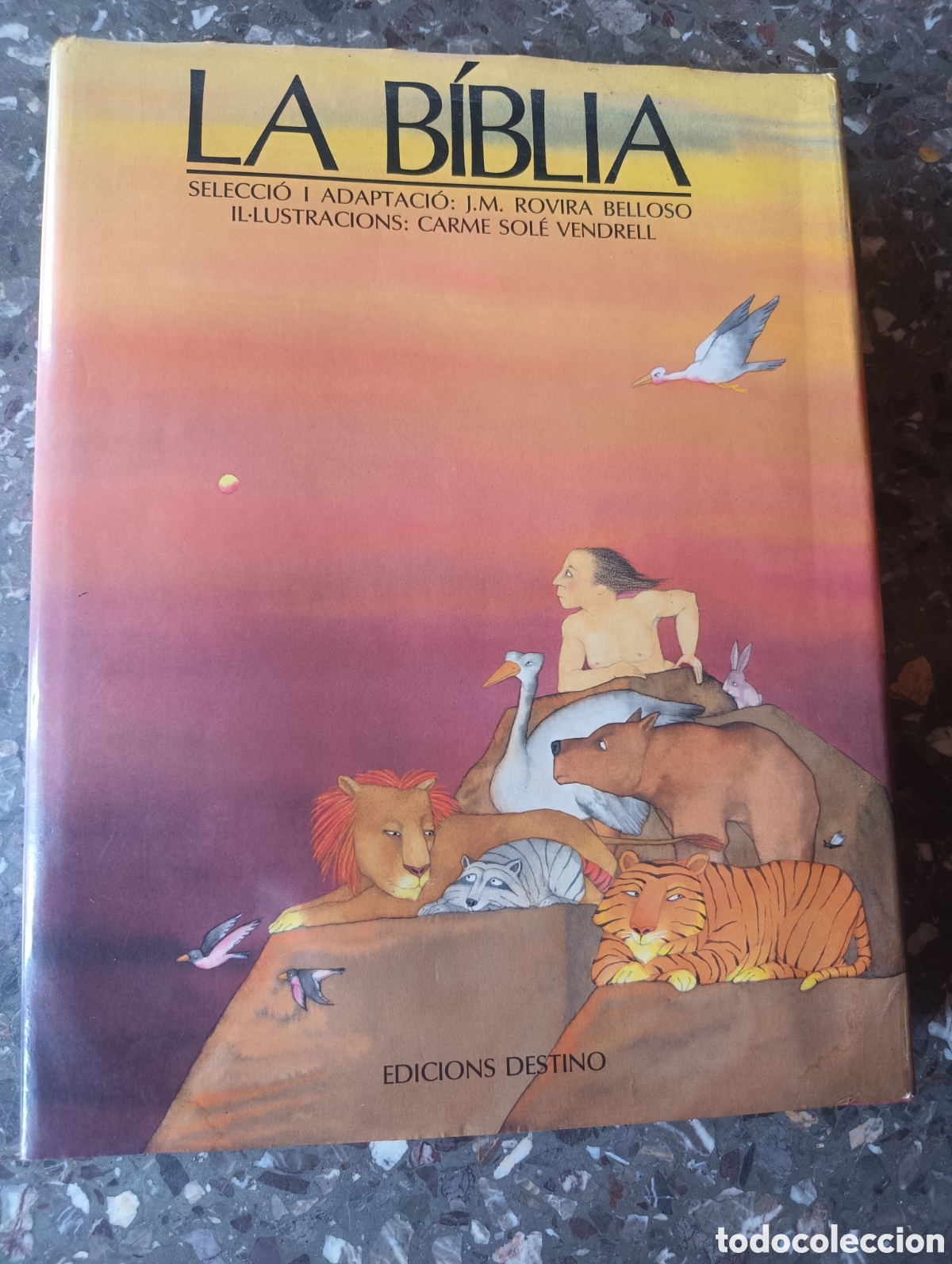 Libros: La Biblia Juvenil Infantil