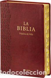 Libros: La Biblia. Palabra de Vida (Letra extragrande) - AA.VV.