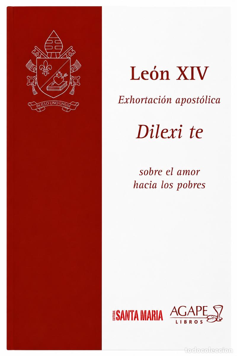 Libros: LE&Oacute;N XIV &ndash; DILEXI TE. SOBRE EL AMOR HACIA LOS POBRES &ndash; &Aacute;GAPE LIBROS &ndash; LM