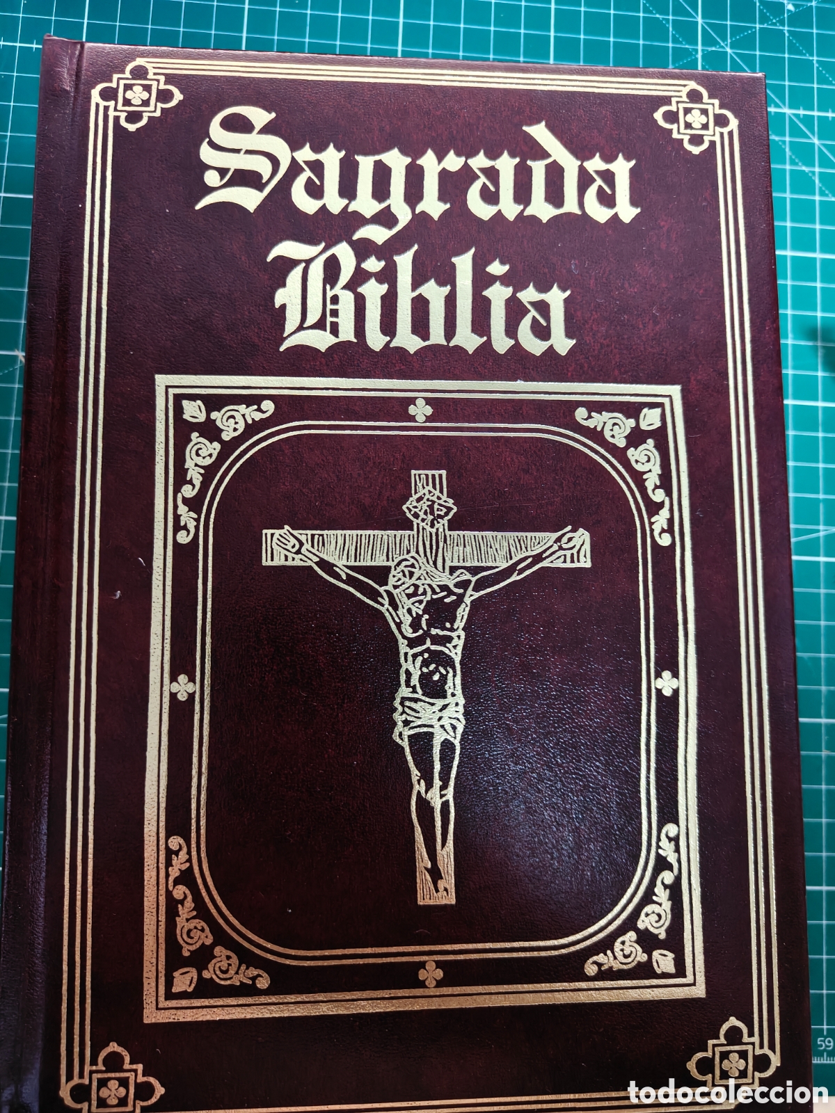 Libros: Sagrada Biblia (Versi&oacute;n directa de los textos originales hebreo y griego).