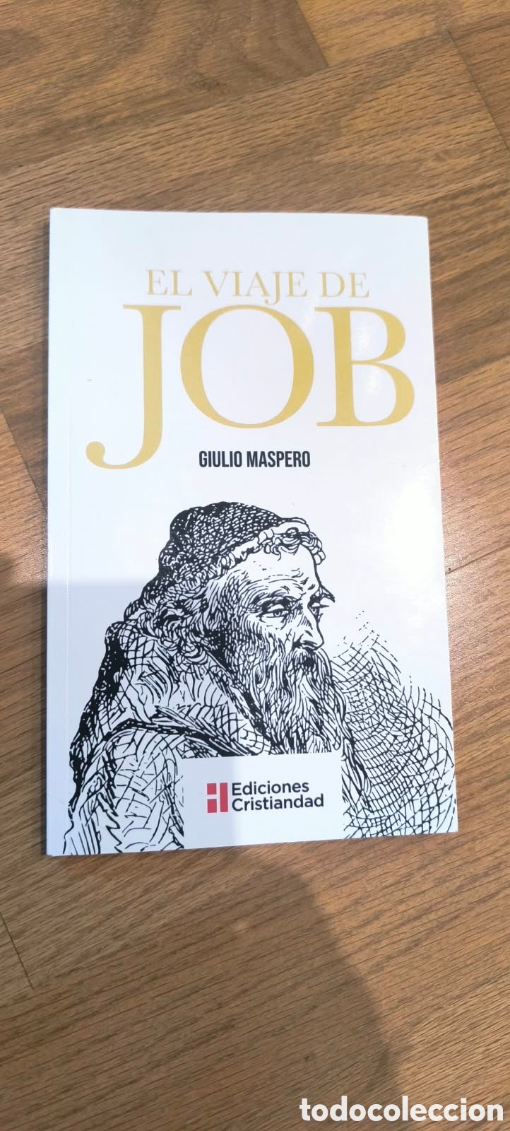 Libros: El viaje de Job, libro espiritual