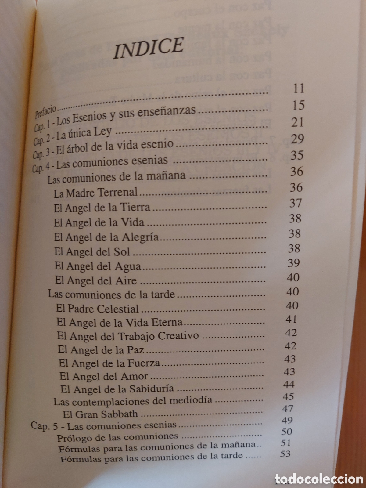 Libros: Las ense&ntilde;anzas de los esenios - Foto 2