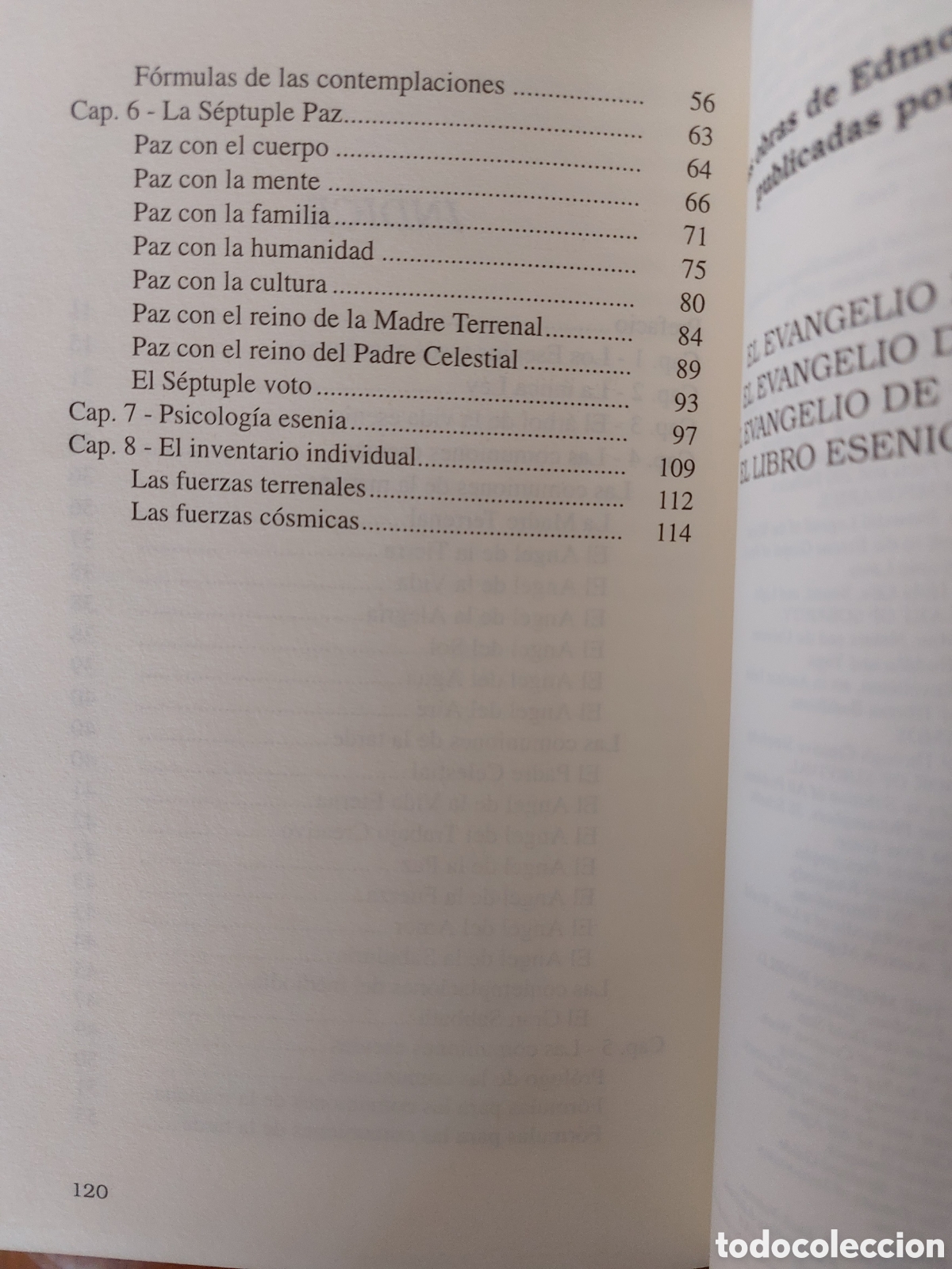 Libros: Las ense&ntilde;anzas de los esenios - Foto 3