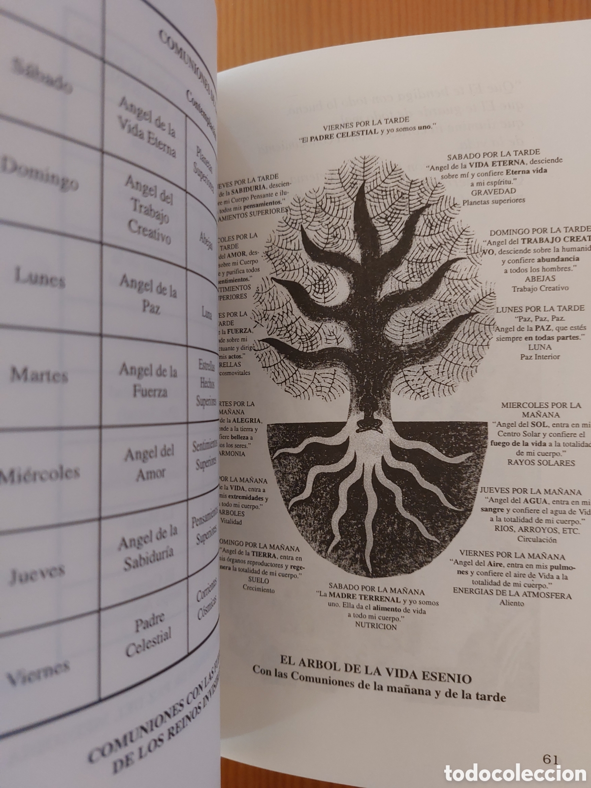 Libros: Las ense&ntilde;anzas de los esenios - Foto 5