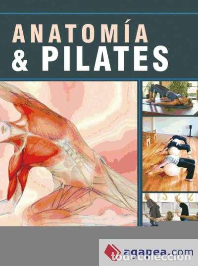 B&uuml;cher: ANATOM&Iacute;A & PILATES (color) - Massey, Paul