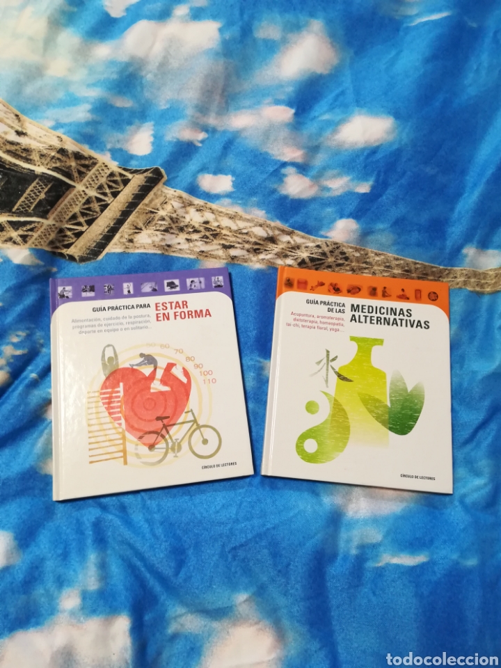 Libros: Lote 2 libros gu&iacute;a pr&aacute;ctica - Foto 1