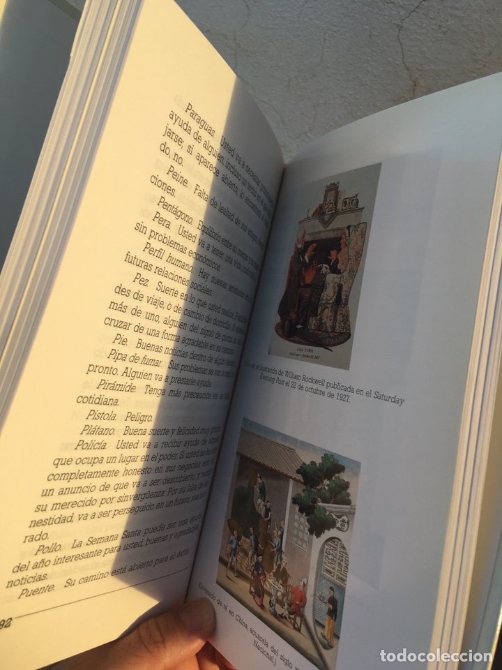 Libros: EL LIBRO DEL T&Eacute;: I&ntilde;igo Dolagaray - Foto 4