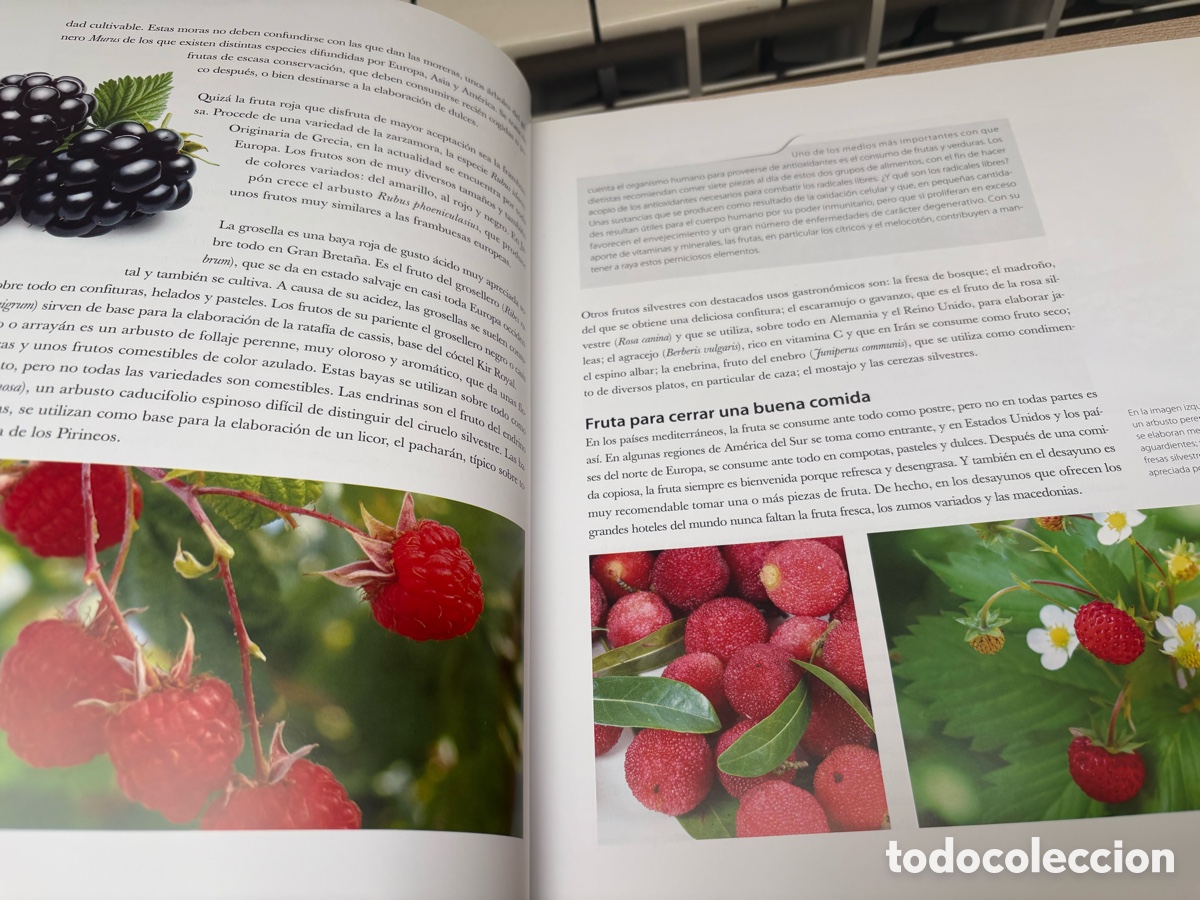 Libros: Libro Recetas Postres Tradicionales - Signo Editores (Nuevo - Foto 5