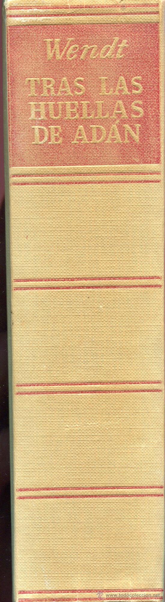 Libros de segunda mano: tras las huellas de adan  --herbert wendt - Foto 1