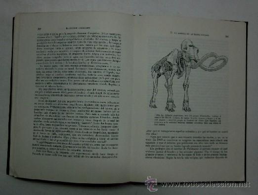 Libros de segunda mano: EL PRIMER AMERICANO - PRIMERA EDICION 1973 - Foto 6