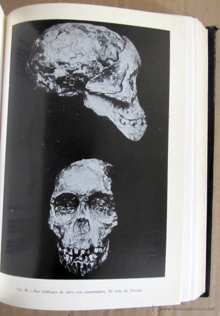 Libros de segunda mano: TRAS LAS HUELLAS DE AD&Aacute;N - Foto 5