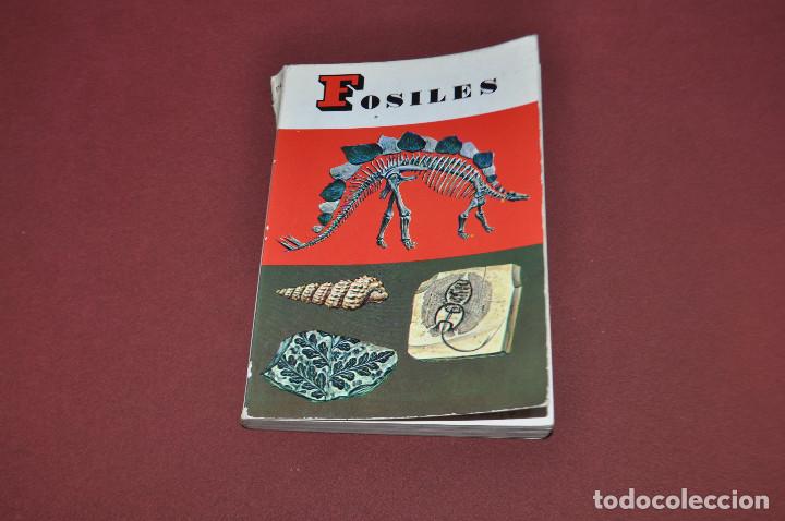 Libros de segunda mano: fosiles ediciones daimon , manuel tamayo - AEB - Foto 1