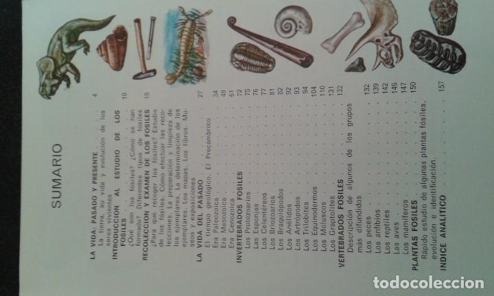 Libros de segunda mano: FOSILES EDITORIAL DAIMON - Foto 4