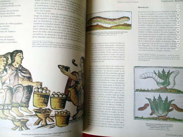 Edicion Especial Arqueologia Mexicana Cocina P Sold Through Direct Sale