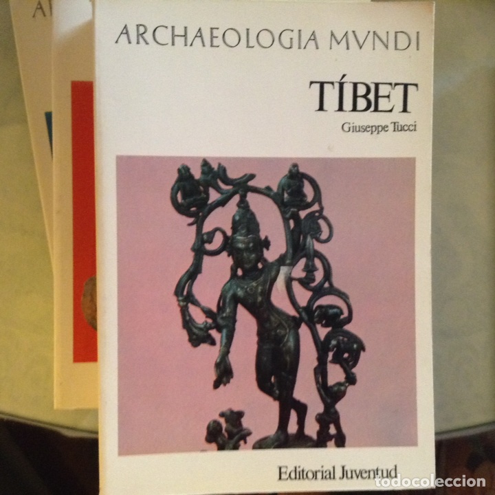 Libros de segunda mano: T&iacute;bet - Foto 1