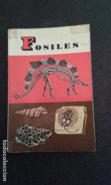 Libros de segunda mano: FOSILES EDITORIAL DAIMON - Foto 1