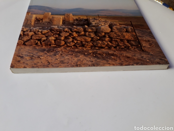 Libros de segunda mano: Arqueolog&iacute;a el edificio de pilares de Harbor Mar&iacute;a Teresa Rubiato 1994 - Foto 3