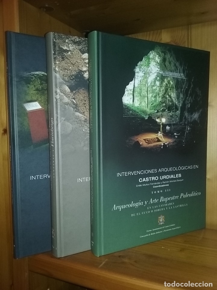 Libros de segunda mano: INTERVENCIONES ARQUEOLOGICAS EN CASTRO URDIALES, 3 TOMOS, ARQUEOLOGIA, ARTE RUPESTRE, CANTABRIA 2007