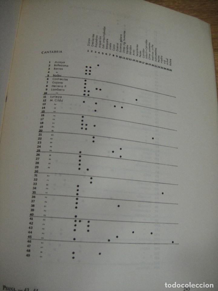 Libros de segunda mano: las estelas decoradas de los conventos caesaraugustano y cluniense - marco simon - Foto 4