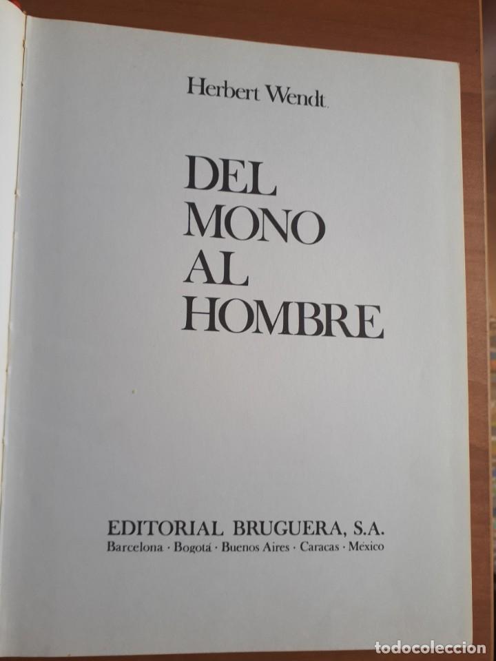 Libros de segunda mano: DEL MONO AL HOMBRE. HERBERT WENDT - Foto 1