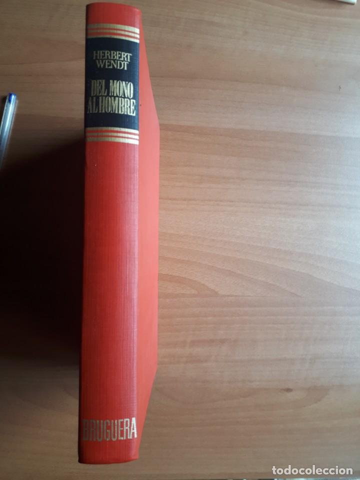 Libros de segunda mano: DEL MONO AL HOMBRE. HERBERT WENDT - Foto 3