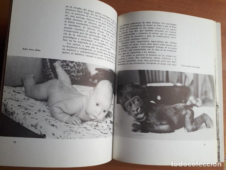 Libros de segunda mano: DEL MONO AL HOMBRE. HERBERT WENDT - Foto 5