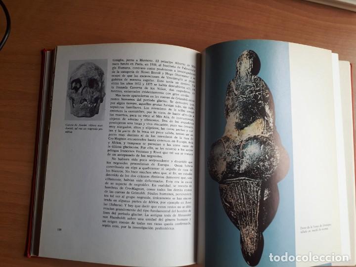 Libros de segunda mano: DEL MONO AL HOMBRE. HERBERT WENDT - Foto 6