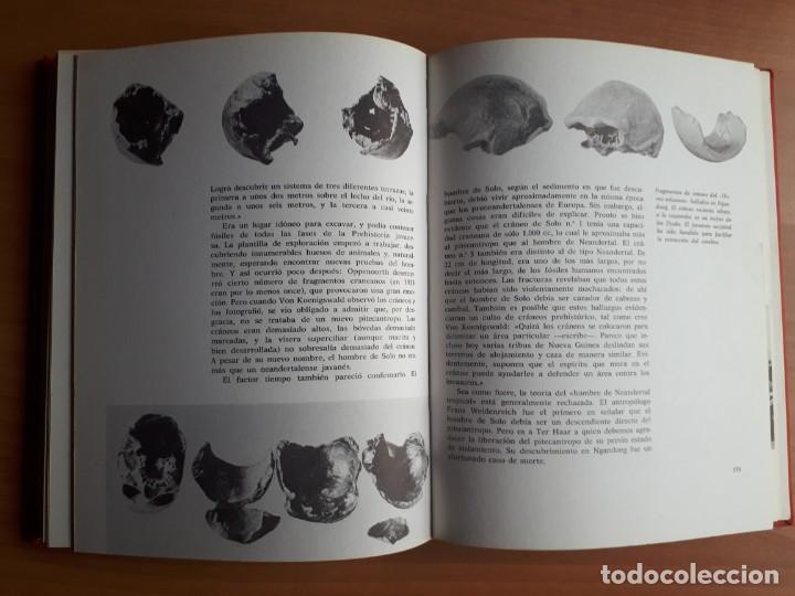 Libros de segunda mano: DEL MONO AL HOMBRE. HERBERT WENDT - Foto 7