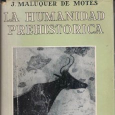 Libros de segunda mano: J. MALUQUER DE MOTES LA HUMANIDAD PREHISTÓRICA.. Lote 193204647