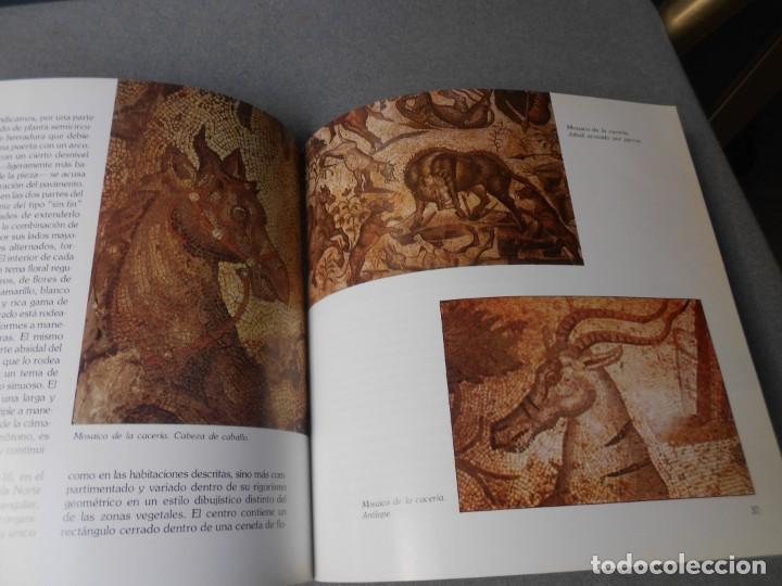 Libros de segunda mano: LA VILLA ROMANA DE LA OLMEDA. - Foto 9